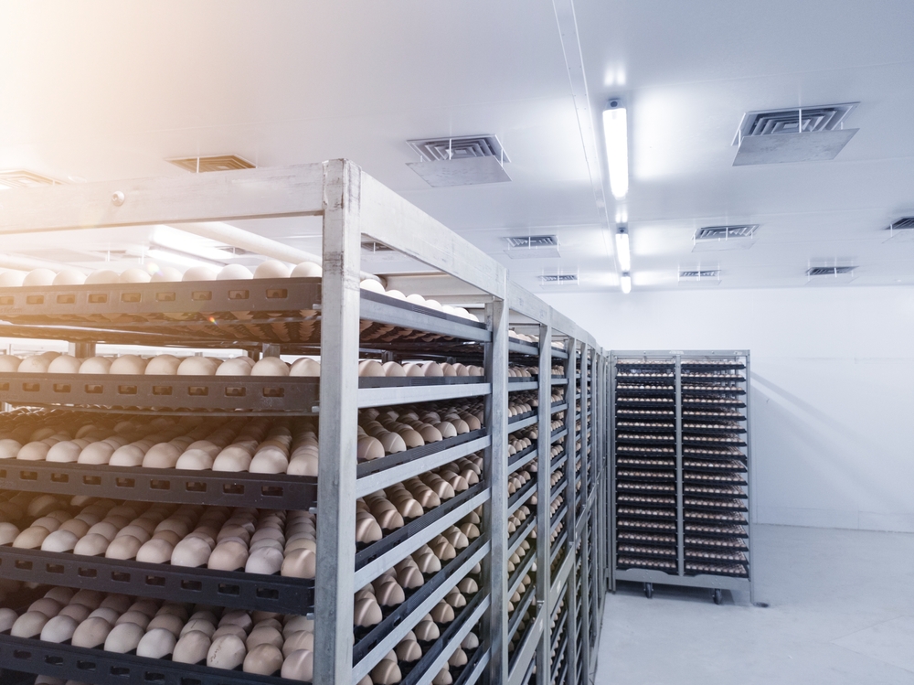 poultry farm cold room storage